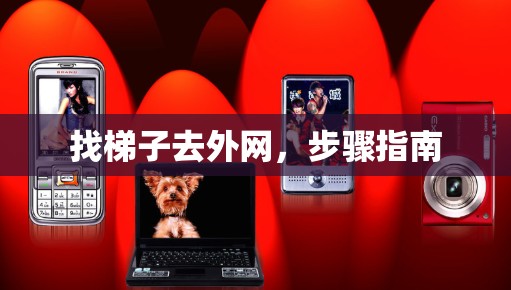 找梯子去外网,步骤指南 找梯子去外网,步骤指南