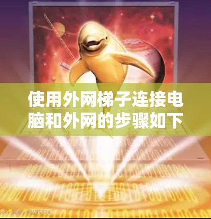 使用外网梯子连接电脑和外网的步骤如下 使用外网梯子连接电脑和外网的步骤如下