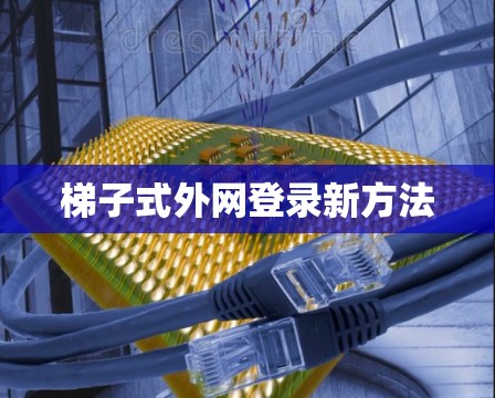 梯子式外网登录新方法 梯子式外网登录新方法