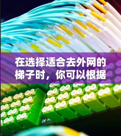 在选择适合去外网的梯子时,你可以根据以下因素进行综合考虑 在选择适合去外网的梯子时,你可以根据以下因素进行综合考虑