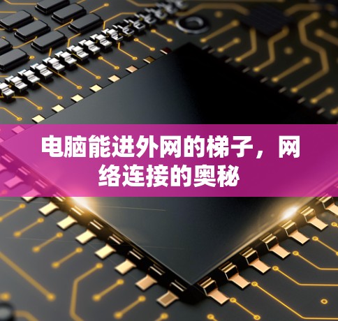 电脑能进外网的梯子，网络连接的奥秘