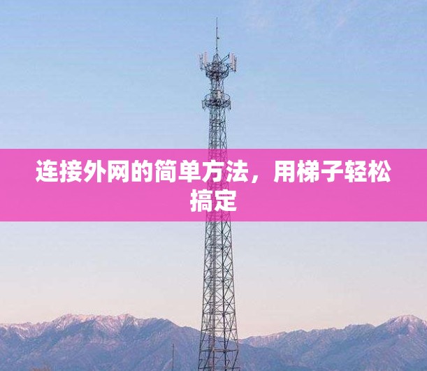连接外网的简单方法，用梯子轻松搞定