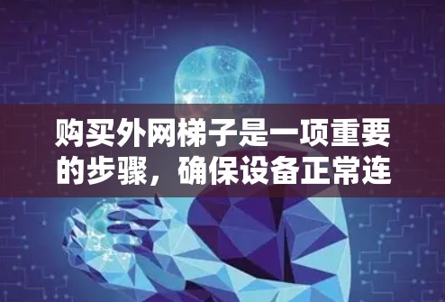 购买外网梯子是一项重要的步骤，确保设备正常连接。以下是一个有条理的购买指南