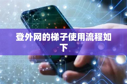 登外网的梯子使用流程如下 登外网的梯子使用流程如下
