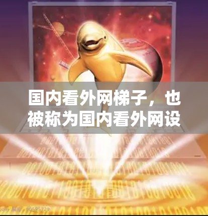 国内看外网梯子,也被称为国内看外网设备,通常指用于连接国内用户到国外网络的设备和工具。以下是一些常见的国内看外网梯子及其作用 国内看外网梯子,也被称为国内看外网设备,通常指用于连接国内用户到国外网络的设备和工具。以下是一些常见的国内看外网梯子及其作用