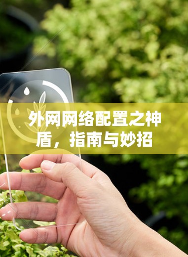 外网网络配置之神盾,指南与妙招 外网网络配置之神盾,指南与妙招