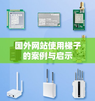 国外网站使用梯子的案例与启示 国外网站使用梯子的案例与启示