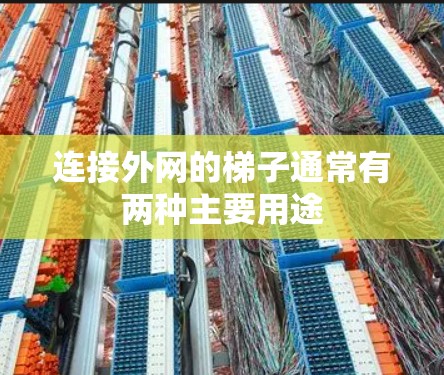 连接外网的梯子通常有两种主要用途 连接外网的梯子通常有两种主要用途