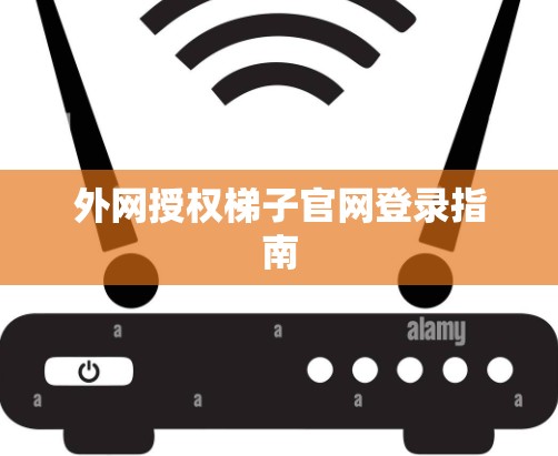 外网授权梯子官网登录指南 外网授权梯子官网登录指南