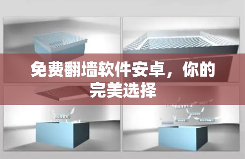 免费翻墙软件安卓,你的完美选择 免费翻墙软件安卓,你的完美选择