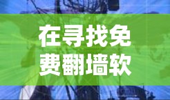 在寻找免费翻墙软件时,我需要考虑以下因素 在寻找免费翻墙软件时,我需要考虑以下因素