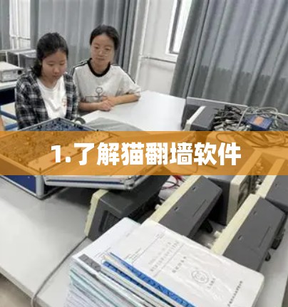 1.了解猫翻墙软件 1.了解猫翻墙软件
