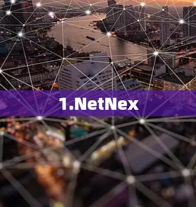 1.NetNex