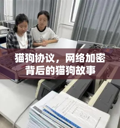 猫狗协议，网络加密背后的猫狗故事