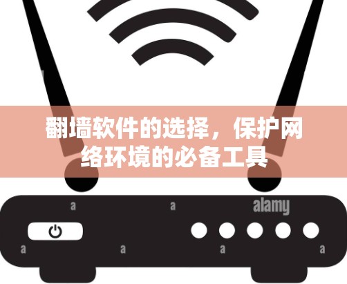 翻墙软件的选择，保护网络环境的必备工具