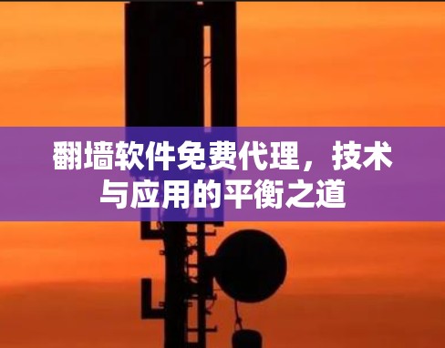 翻墙软件免费代理，技术与应用的平衡之道