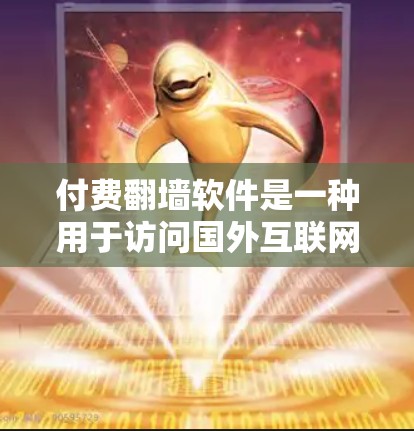 付费翻墙软件是一种用于访问国外互联网的工具，通常通过特定协议来实现，允许用户在访问国外网站时保持与中国大陆网络隔离，从而减少对中国的网络依赖。以下是几种常见付费翻墙软件的详细介绍