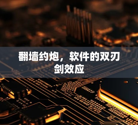 翻墙约炮，软件的双刃剑效应