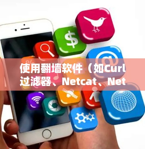 使用翻墙软件（如Curl过滤器、Netcat、Netflow）来管理网络访问权限，以下是逐步指南