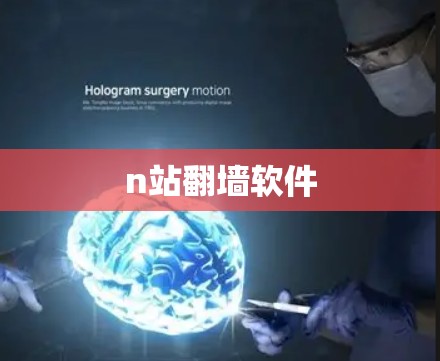 n站翻墙软件